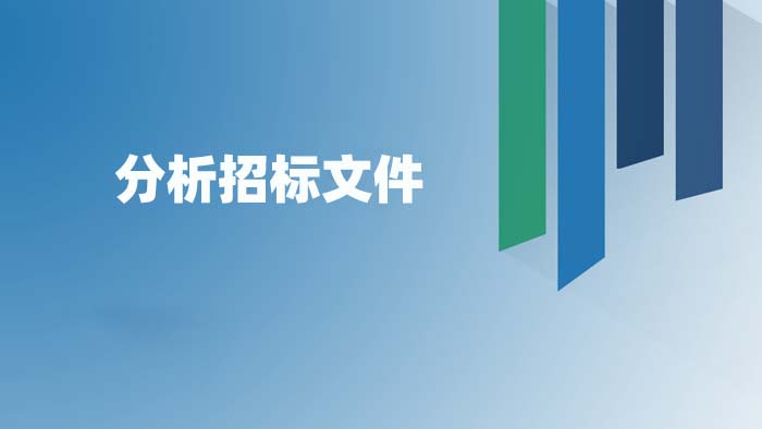 分析招标文件