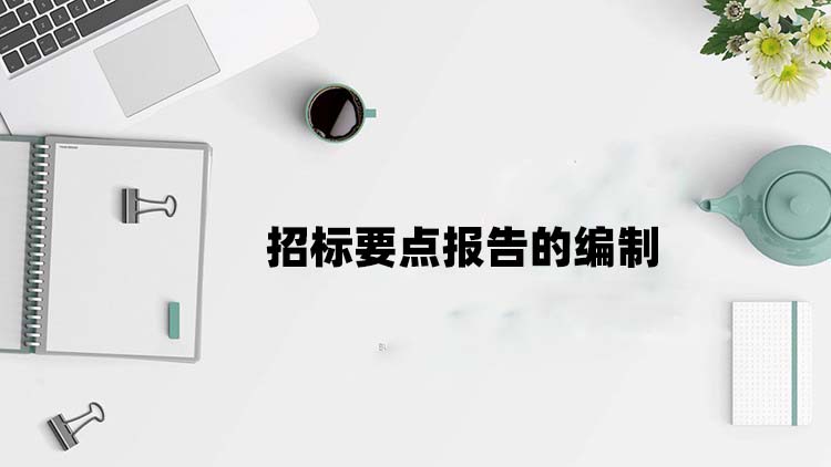 招标要点报告的编制