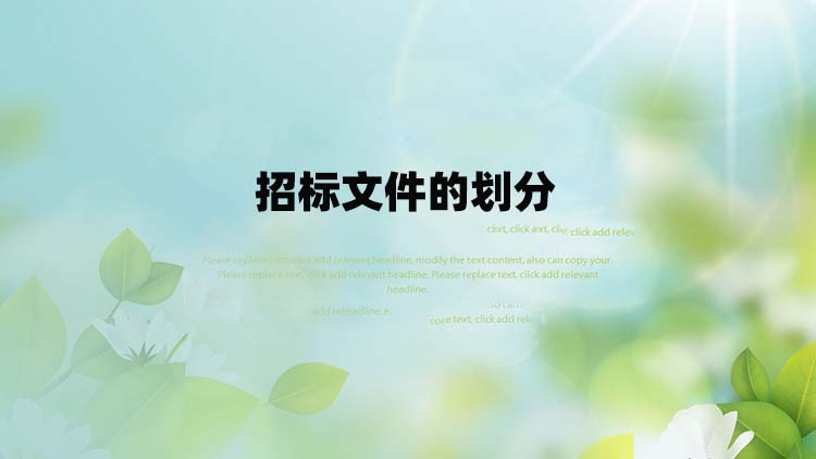 招标文件的划分