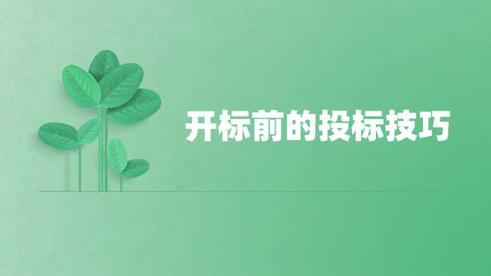 开标前的投标技巧