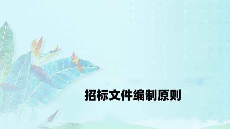 招标文件编制原则