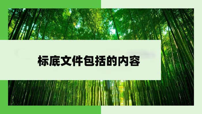 标底文件包括的内容