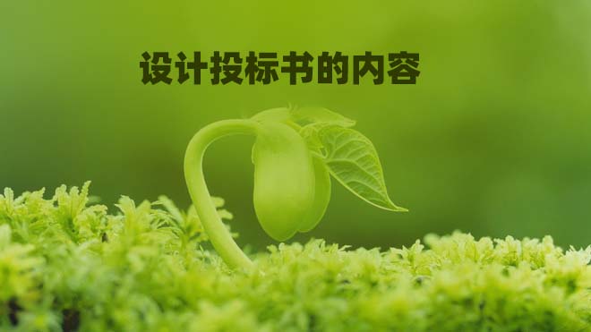 设计投标书的内容