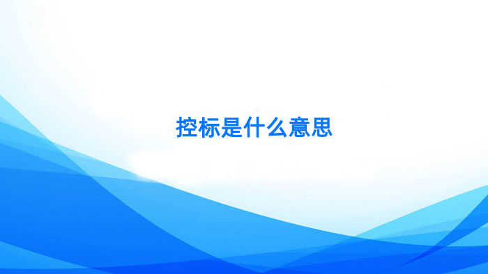 控标是什么意思