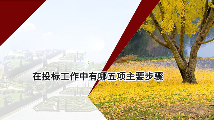 在投标工作中有哪五项主要步骤