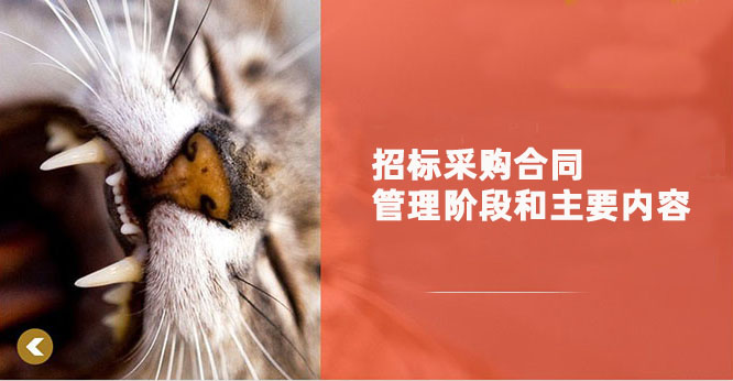 招标采购合同管理阶段和主要内容