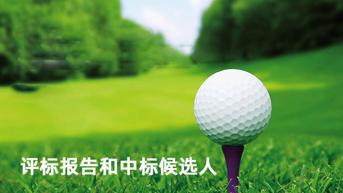 评标报告和中标候选人