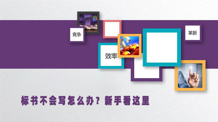 标书不会写怎么办？新手看这里