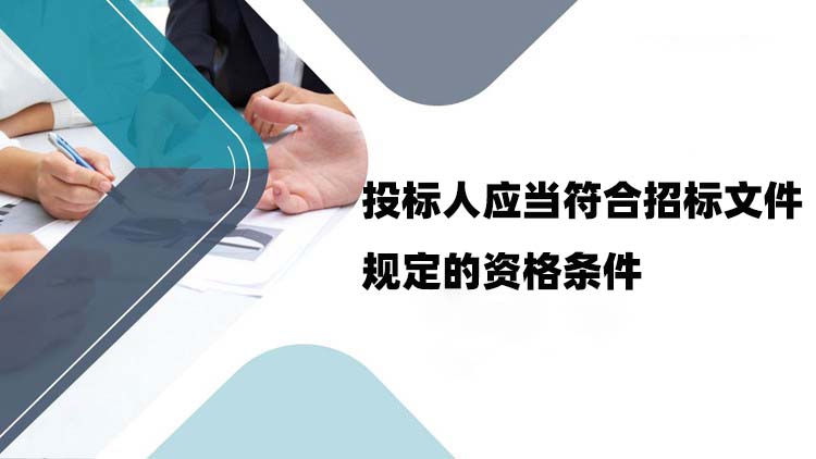 投标人应当符合招标文件规定的资格条件