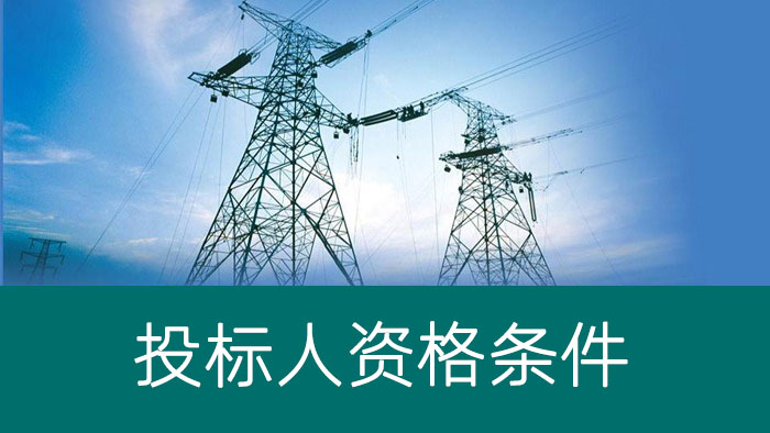 投标人资格条件
