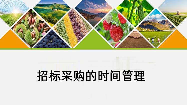 招标采购的时间管理