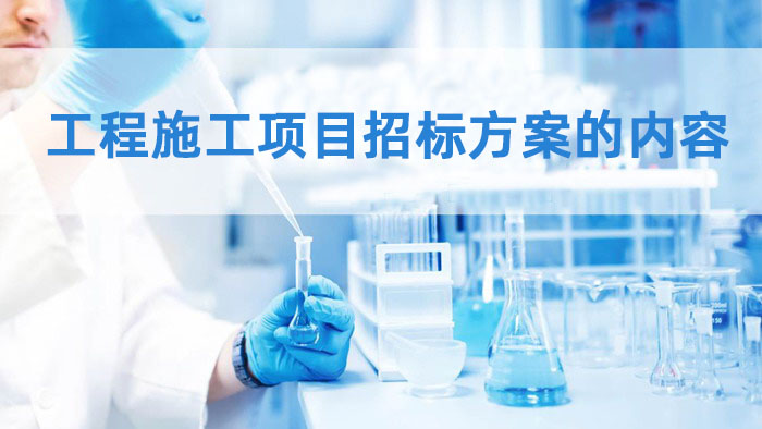 工程施工项目招标方案的内容