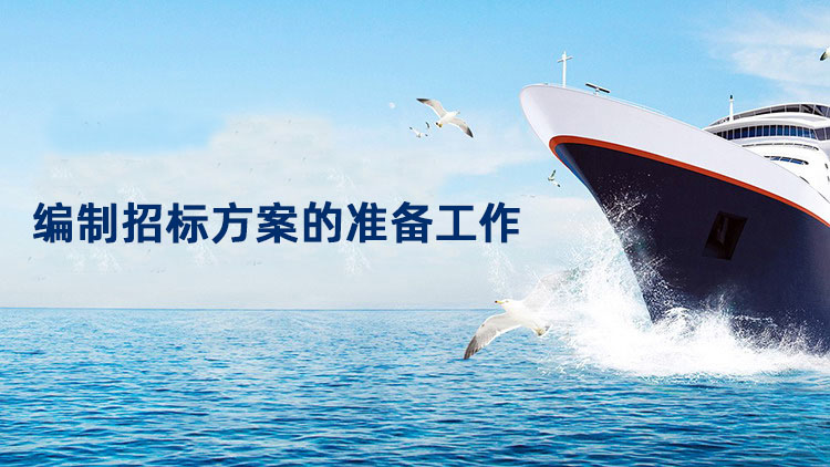 编制招标方案的准备工作