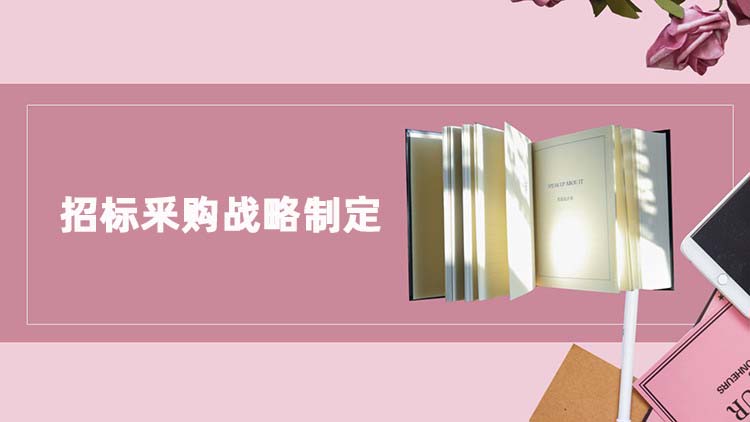 招标釆购战略制定