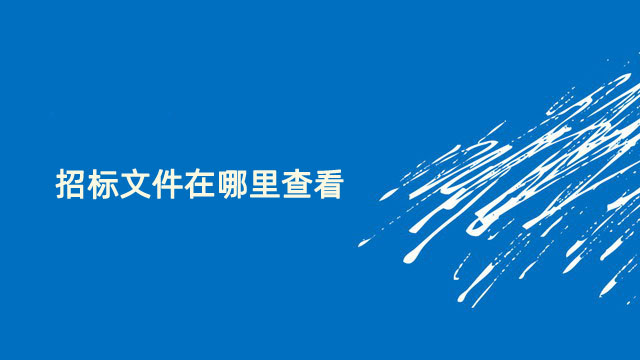 招标文件在哪里查看