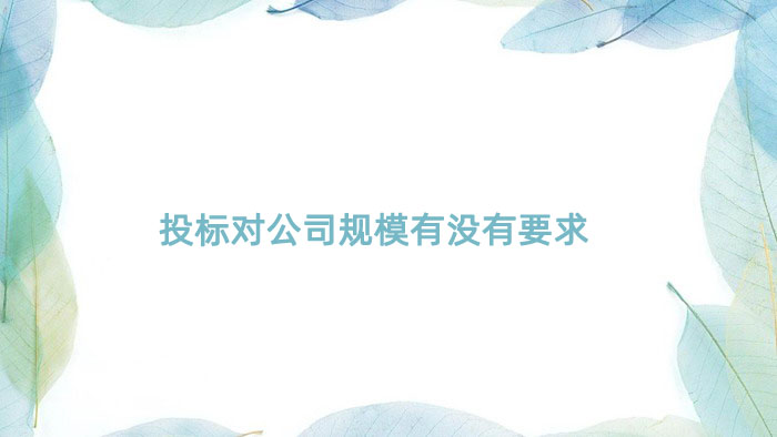 投标对公司规模有没有要求