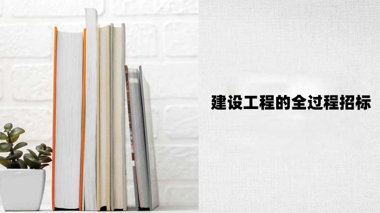 建设工程的全过程招标