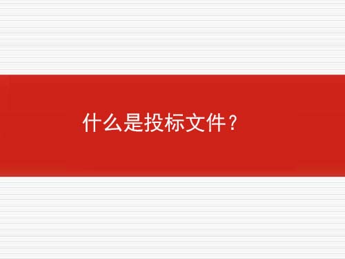 什么是投标文件