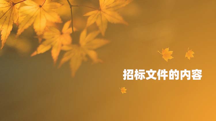 招标文件的内容