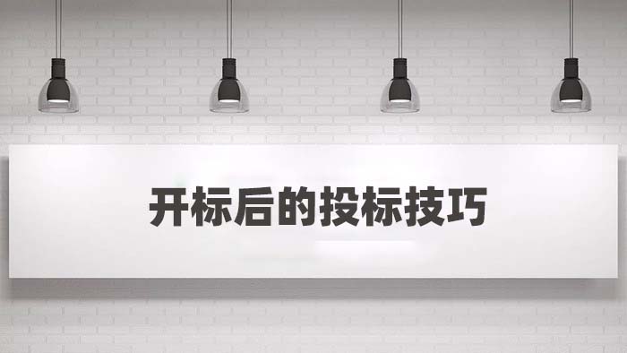 开标后的投标技巧
