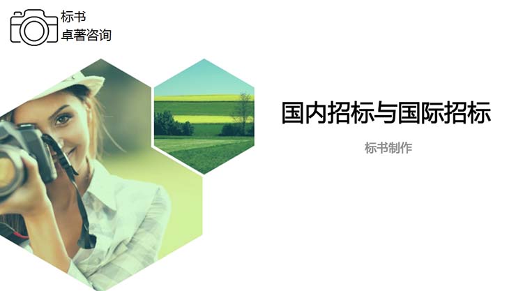 国内招标与国际招标